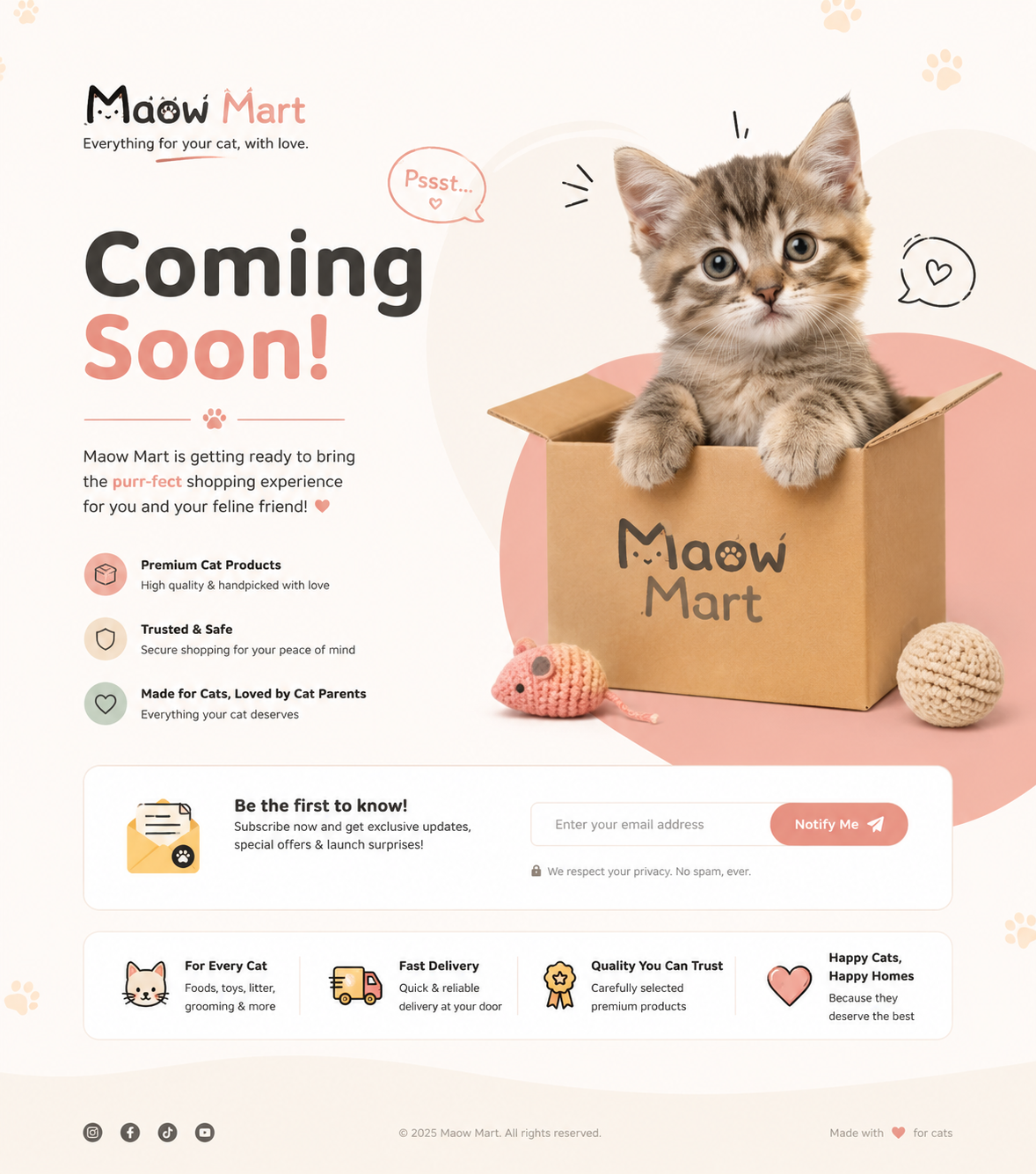 Cute kitten ready for Maow Mart